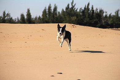 TGA主持人创建的夏日游戏节 2022年继续举办